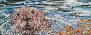 Seal in kelp